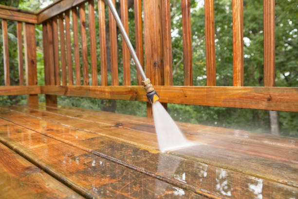 Best Exterior Home Cleaning  in Shenandoah, VA